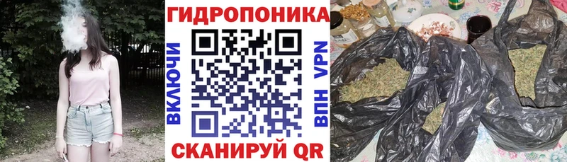 Шишки марихуана THC 21%  блэк спрут вход  Реутов 